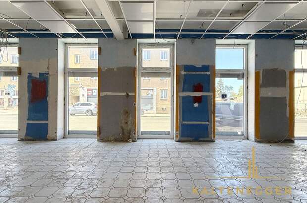 Gewerbeobjekt mieten in 1230 Wien (Bild 3)