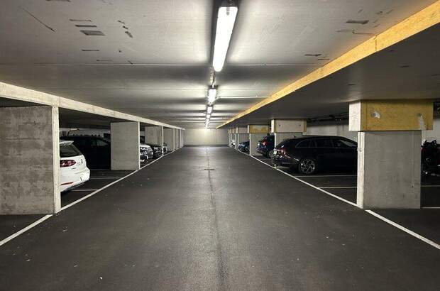 Halle / Lager / Produktion mieten in 1220 Wien (Bild 1)