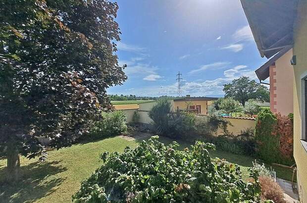 Haus kaufen in 2700 Katzelsdorf (Bild 1)