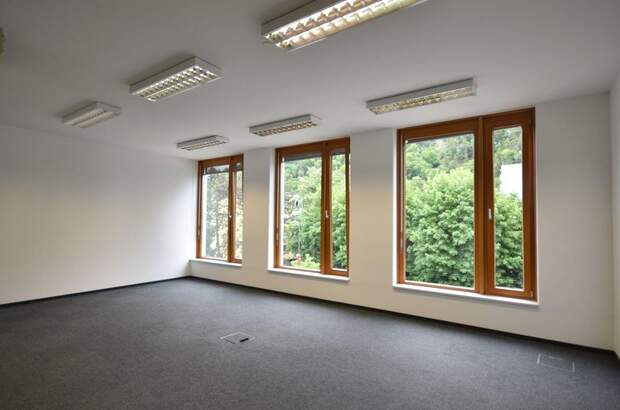 Gewerbeobjekt mieten in 5020 Salzburg (Bild 1)