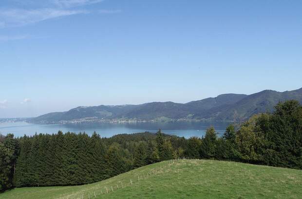 Grundstück kaufen in 4865 Nußdorf