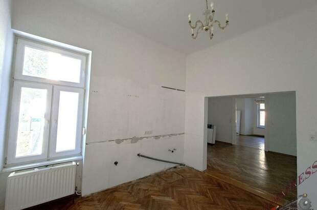 Haus mit Garten kaufen in 2500 Baden (Bild 4)