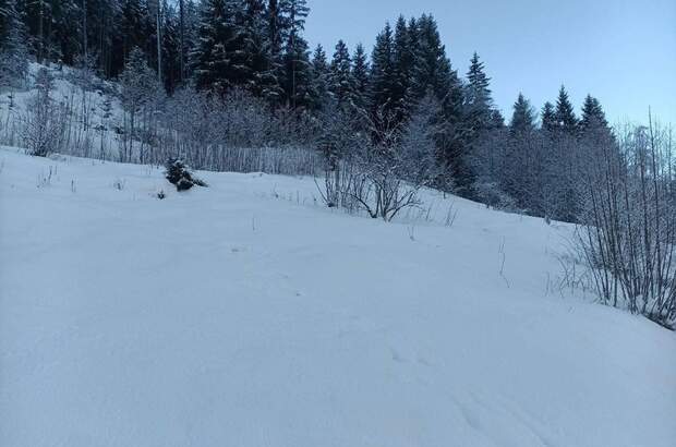 Grundstück kaufen in 9530 Bad Bleiberg (Bild 5)