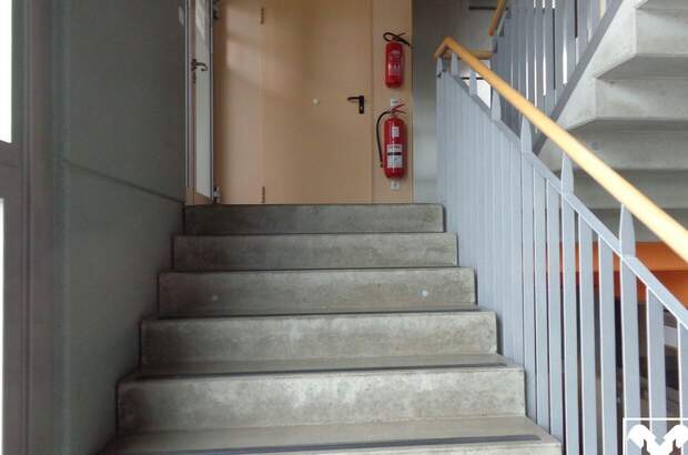 Gewerbeobjekt mieten in 4910 Ried (Bild 5)
