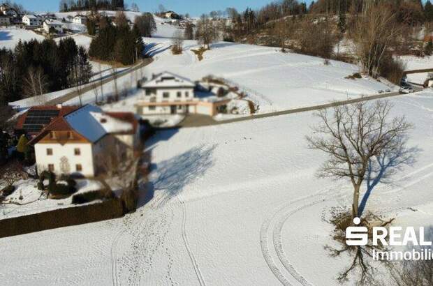 Grundstück kaufen in 4170 Haslach (Bild 3)