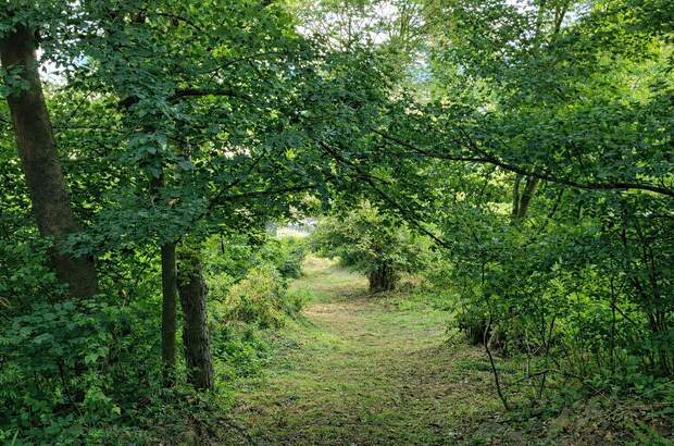 Grundstück kaufen in 2100 Leobendorf (Bild 5)