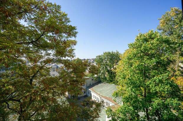 Terrassenwohnung kaufen in 1180 Wien (Bild 2)