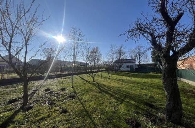 Einfamilienhaus kaufen in 2126 Ladendorf (Bild 3)