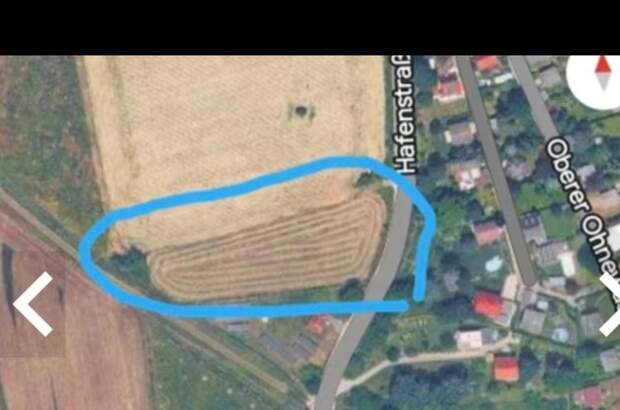 Gewerbeobjekt kaufen in 3422 Altenberg (Bild 2)