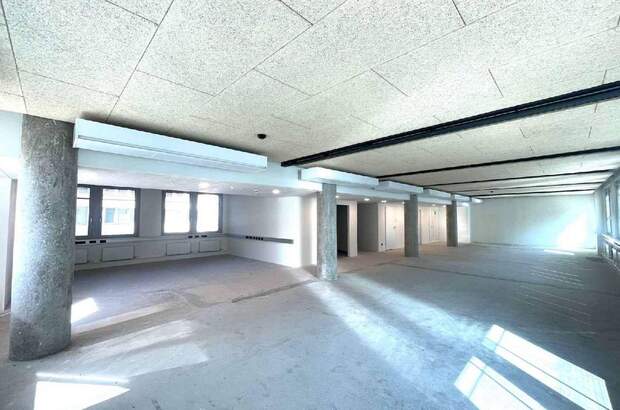 Gewerbeobjekt mieten in 1020 Wien (Bild 3)