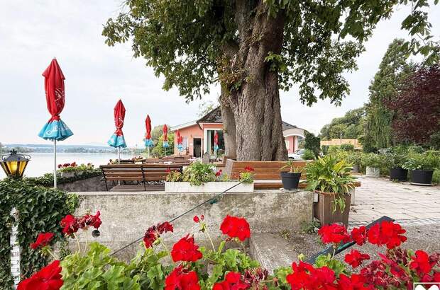 Gewerbeobjekt kaufen in 3680 Metzling (Bild 3)