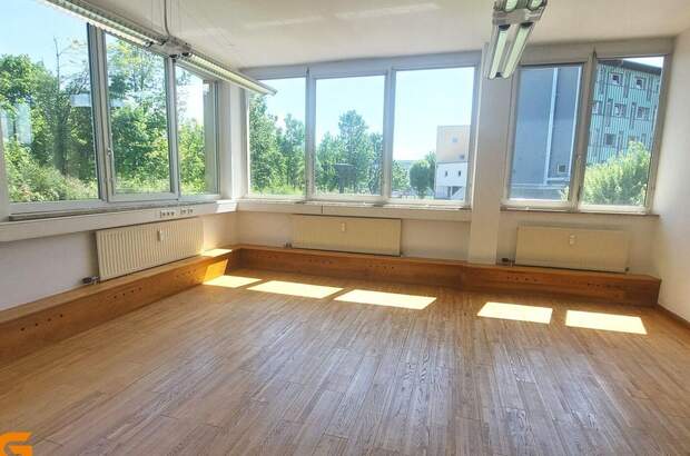 Gewerbeobjekt mieten in 5020 Salzburg (Bild 2)