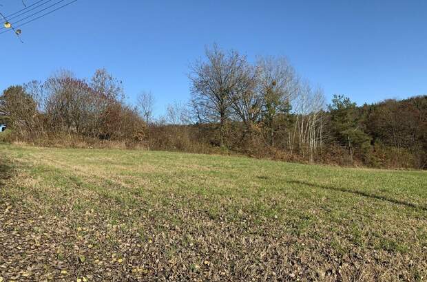 Grundstück kaufen in 8380 Jennersdorf (Bild 4)