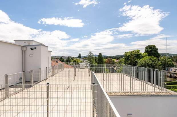 Wohnung kaufen in 1130 Wien (Bild 3)