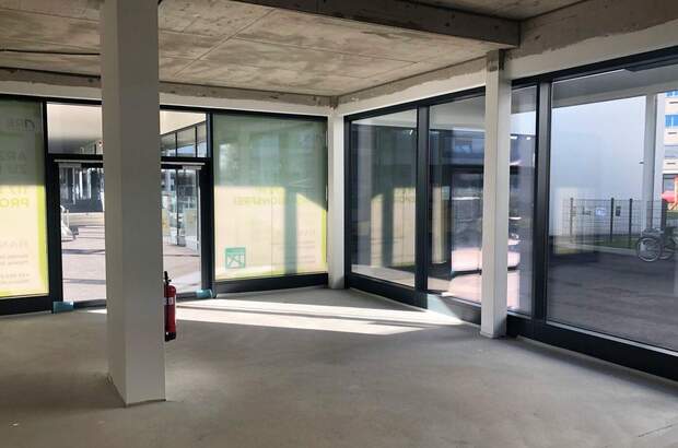 Gewerbeobjekt mieten in 2344 Maria Enzersdorf (Bild 2)