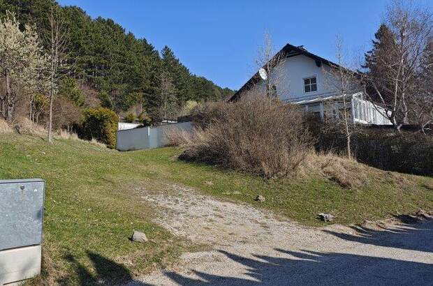 Grundstück kaufen in 2733 Grünbach (Bild 5)