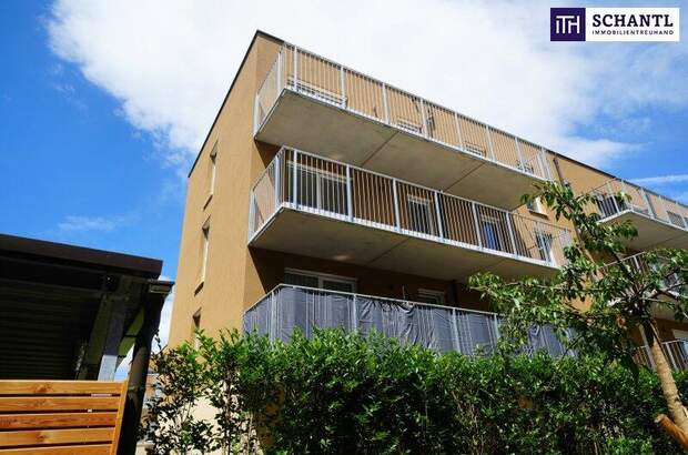 Terrassenwohnung mieten in 8401 Kalsdorf (Bild 2)