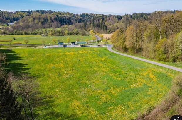 Gewerbeobjekt kaufen in 8333 Riegersburg (Bild 4)