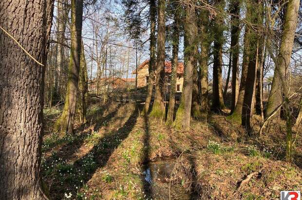Haus mit Garten kaufen in 83236 Übersee (Bild 3)