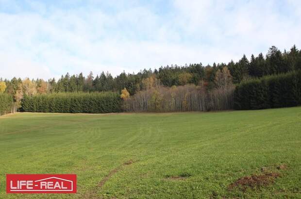 Grundstück kaufen in 4170 Haslach