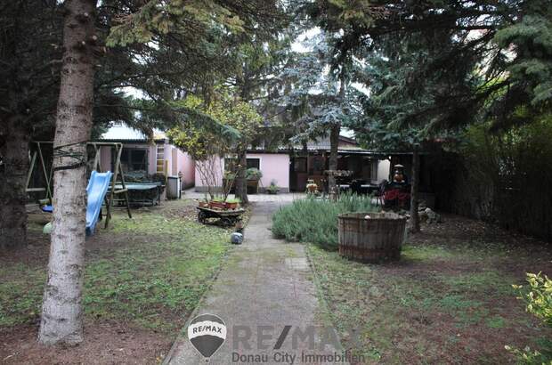 Grundstück kaufen in 2201 Kapellerfeld (Bild 4)