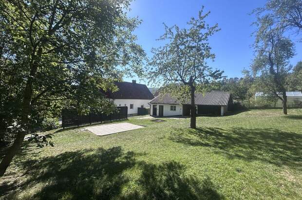 Haus mit Garten kaufen in 2823 Pitten (Bild 4)