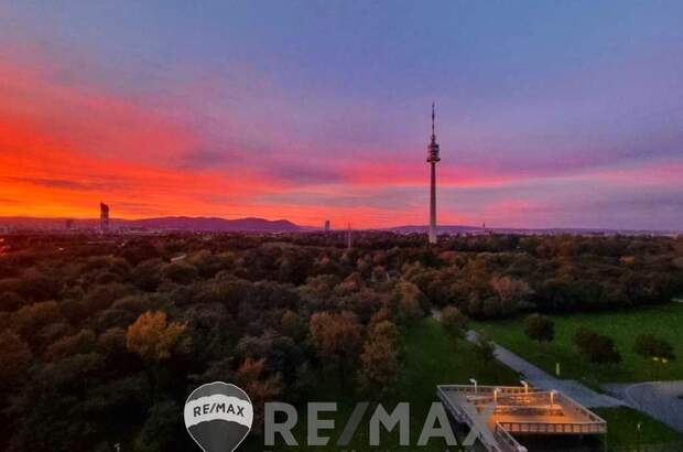 Terrassenwohnung mieten in 1220 Wien (Bild 1)