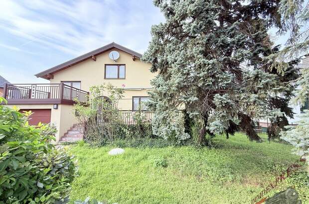 Einfamilienhaus kaufen in 2601 Sollenau (Bild 1)