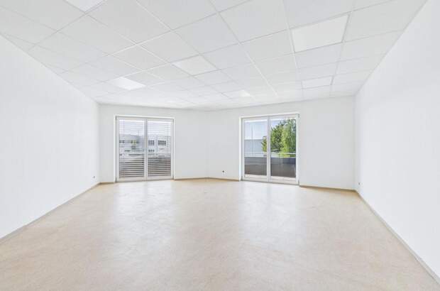 Gewerbeobjekt mieten in 4221 Steyregg (Bild 3)
