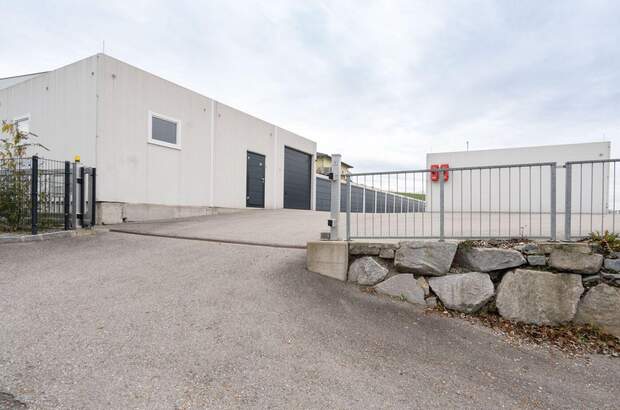 Immobilie mieten in 4491 Niederneukirchen (Bild 5)