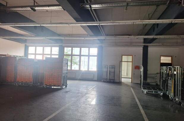 Gewerbeobjekt mieten in 2700 Wiener Neustadt (Bild 4)