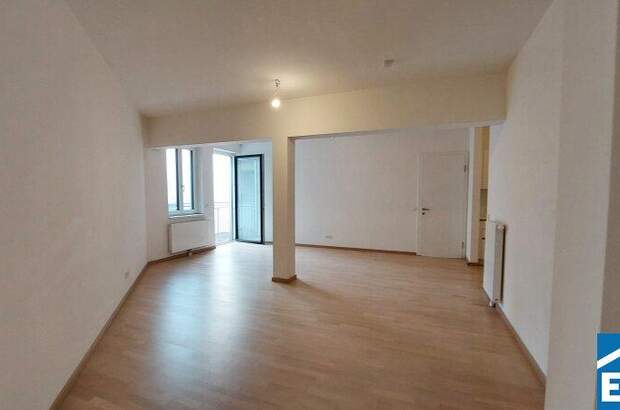 Terrassenwohnung mieten in 1010 Wien (Bild 3)