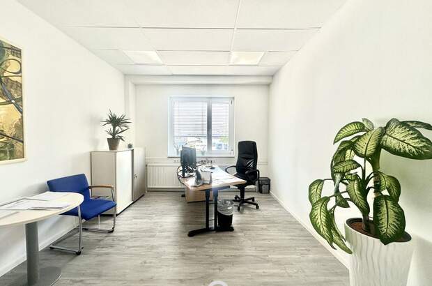 Gewerbeobjekt kaufen in 1230 Wien (Bild 2)