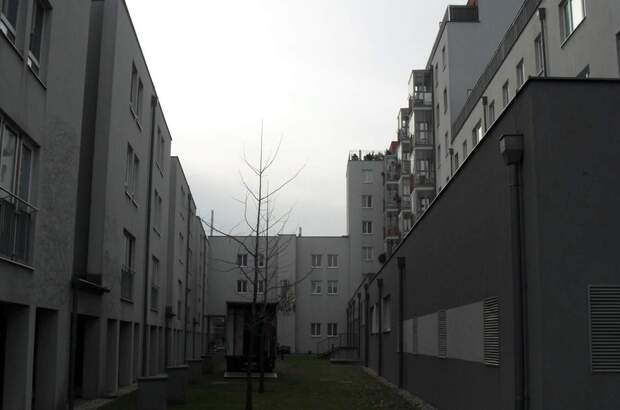 Einzelhandel mieten in 1210 Wien (Bild 3)