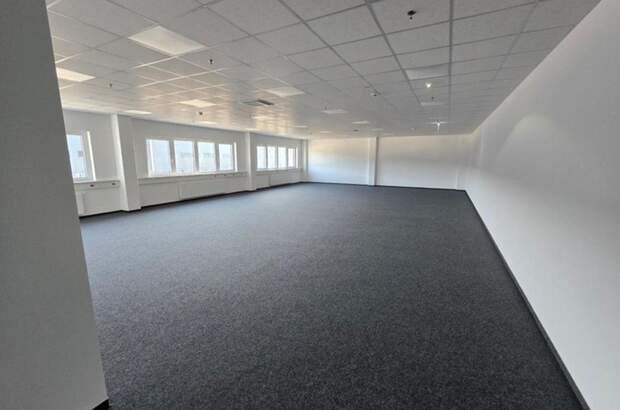 Gewerbeobjekt mieten in 2431 Enzersdorf (Bild 2)