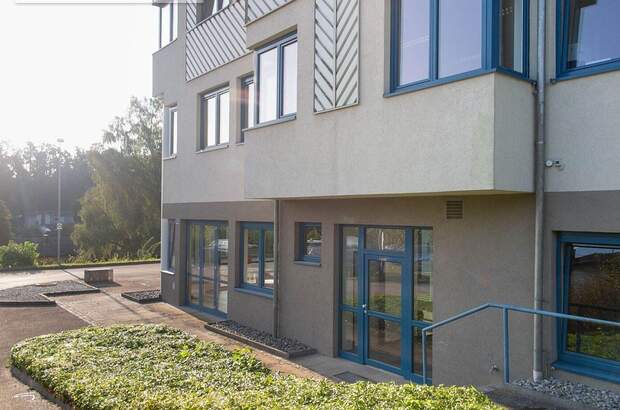 Gewerbeobjekt mieten in 4600 Thalheim (Bild 3)
