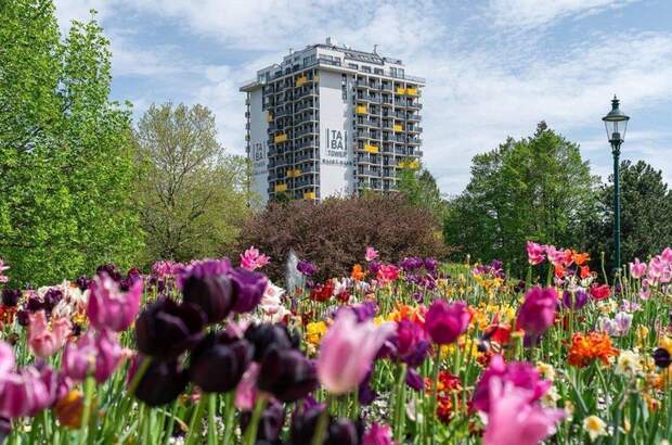 Wohnung mit Balkon kaufen in 1100 Wien