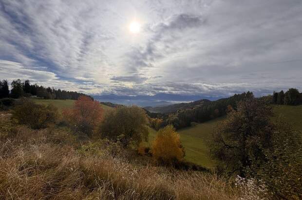 Gewerbeobjekt kaufen in 9112 Griffen (Bild 5)