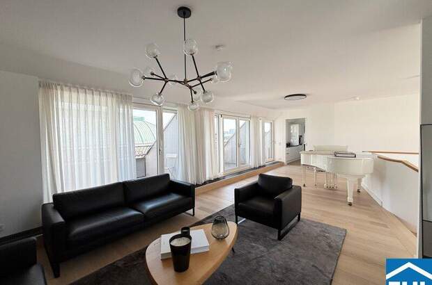 Terrassenwohnung mieten in 1010 Wien (Bild 1)