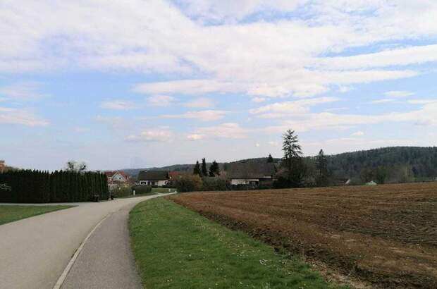 Grundstück kaufen in 8261 Sinabelkirchen (Bild 3)