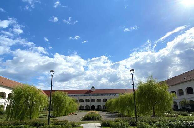 Wohnung mieten in 7100 Neusiedl (Bild 3)