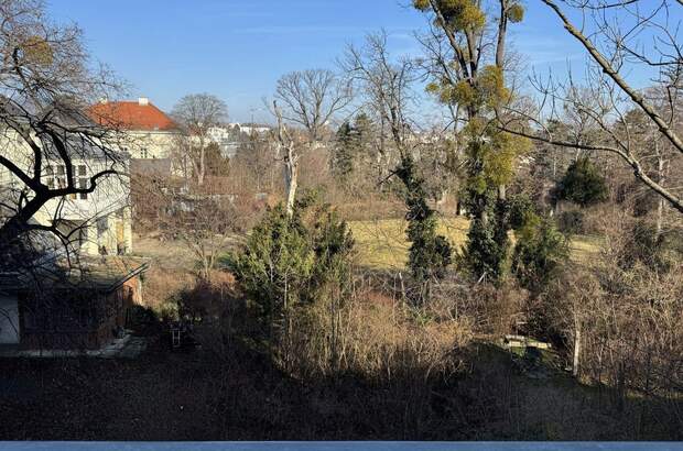 Altbauwohnung mit Balkon kaufen in 1190 Wien