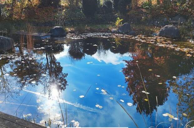 Haus kaufen in 4760 Raab (Bild 5)