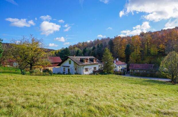 Grundstück kaufen in 3021 Pressbaum (Bild 5)