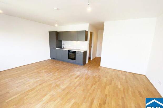 Terrassenwohnung mieten in 1110 Wien (Bild 3)