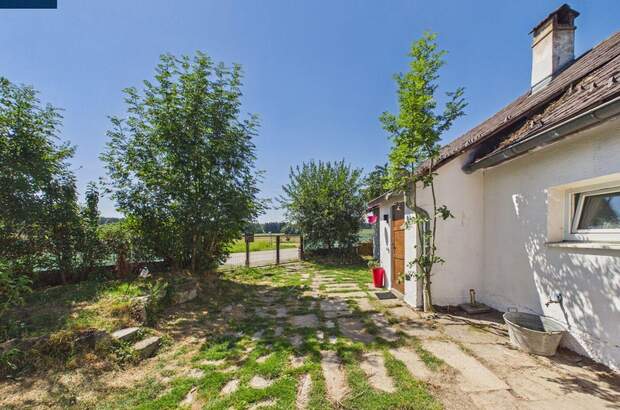 Haus mit Garten kaufen in 3862 Groß (Bild 2)
