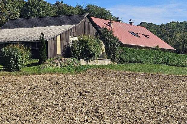 Einfamilienhaus kaufen in 8345 Straden (Bild 2)