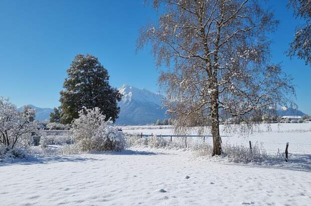Grundstück kaufen in 5020 Salzburg (Bild 3)