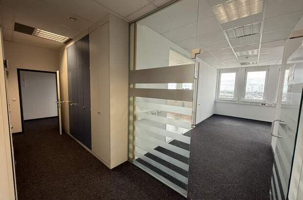 Büro / Praxis mieten in 2351 Wr. Neudorf (Bild 5)