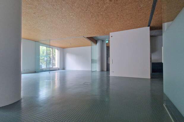 Gewerbeobjekt mieten in 5020 Salzburg (Bild 5)
